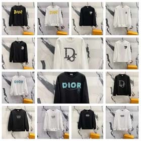 Dior-1004  