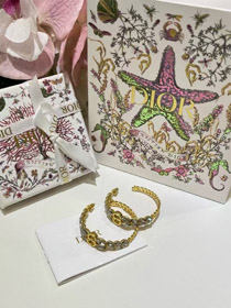 Dior ouro cavalo olho cristal trigo orelha cadeia anel brincos-3703  