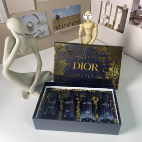 Dior Gold Box Wilderness Medium Set-3448 de 4 peças  