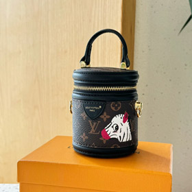 Louis Vuitton LV Mini Fortune Balde Crossbody Saco-4069  