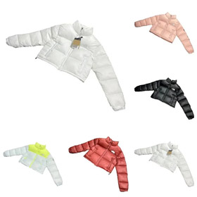 O NORTH FACE Nuptse costura carta bordado suporte colarinho curto pão manga longa para baixo jaqueta-4268  