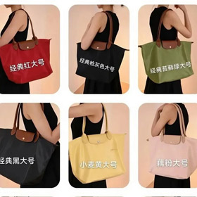 LONGCHAMP Le Pliage botão e zíper saco-5502  